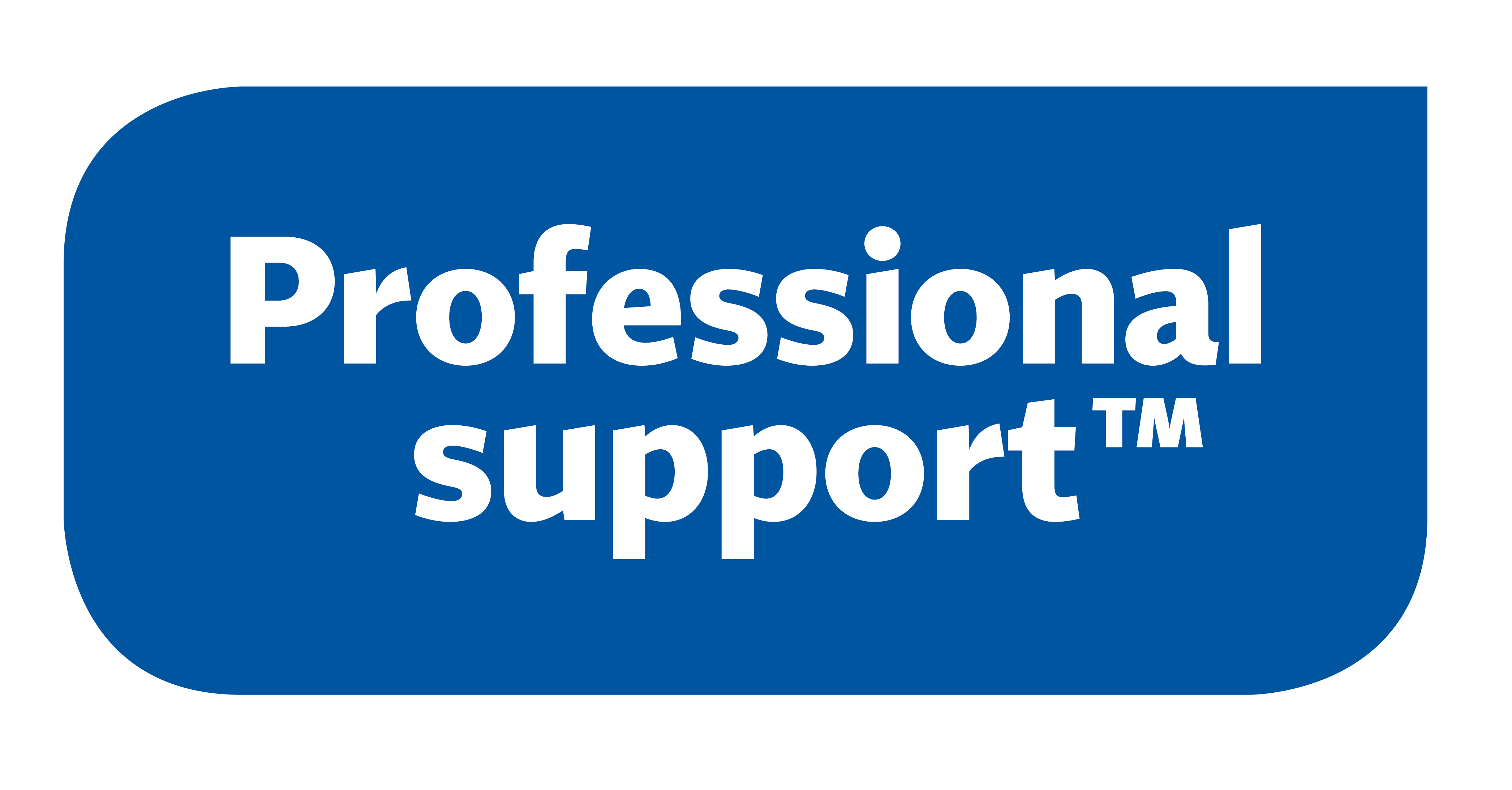 Professional support s.r.o. logo