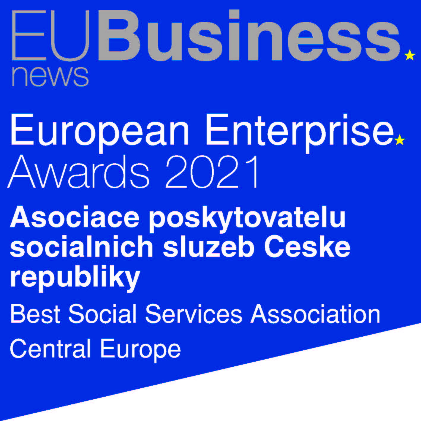 Best Social Services Association Central Europe logo